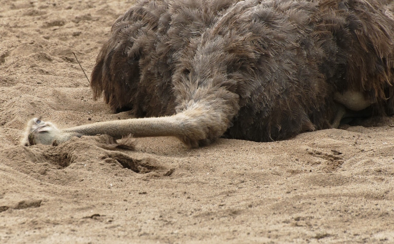 Slide 33 image